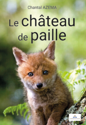 LE CHÂTEAU DE PAILLE