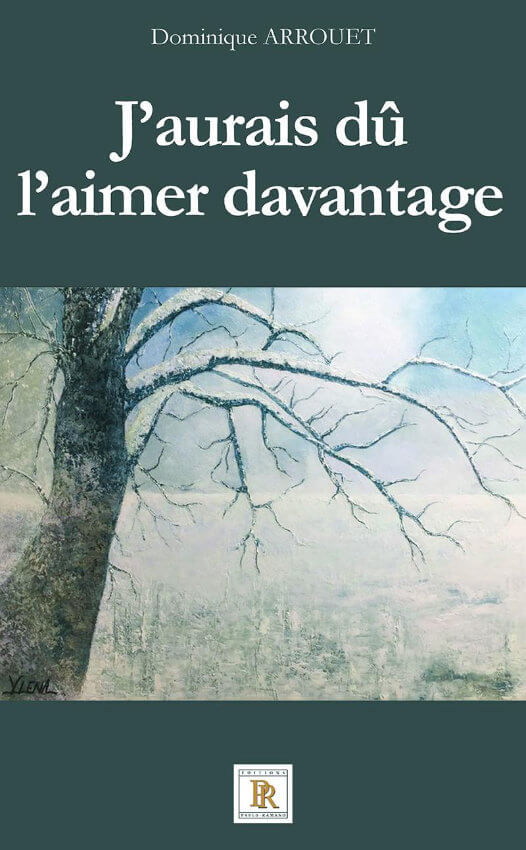 J'AURAIS DÛ L'AIMER DAVANTAGE